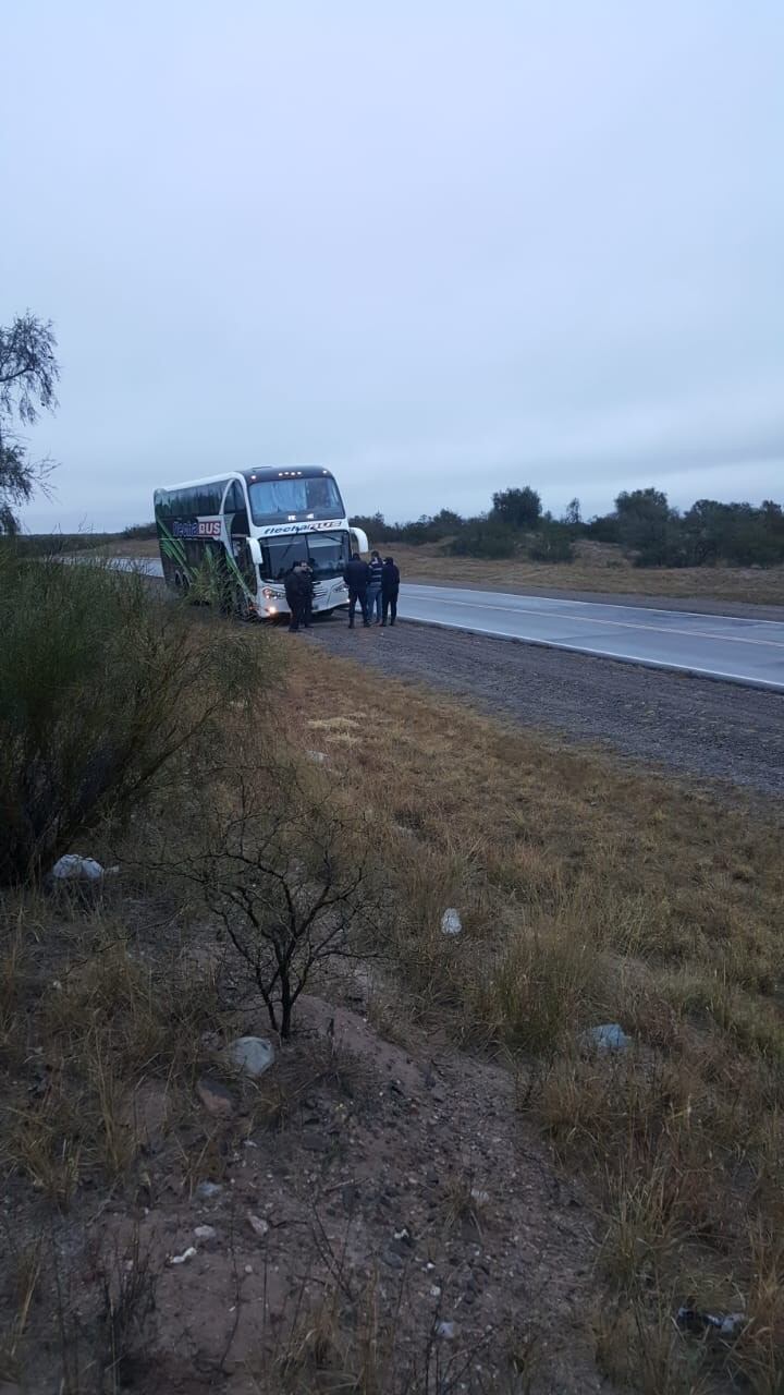 Colectivo vaarado