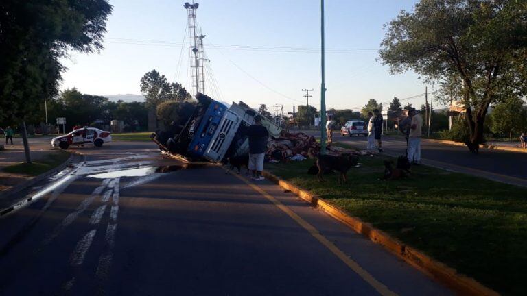 El camión cargado con carne se dio vuelta en el ingreso a Mina Clavero y la mercadería quedó esparcida en la calle. (Prensa Policía)