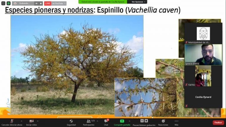 Imágenes del encuentro virtual para aprender a restaurar los bosques nativos después de los incendios forestales.