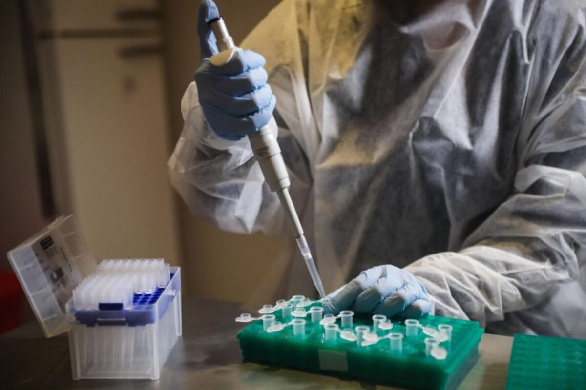 Coronavirus en Salta: la provincia superó la barrera de los 5 mil casos