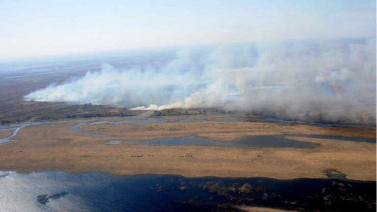 Incendios en las islas frente a Rosario