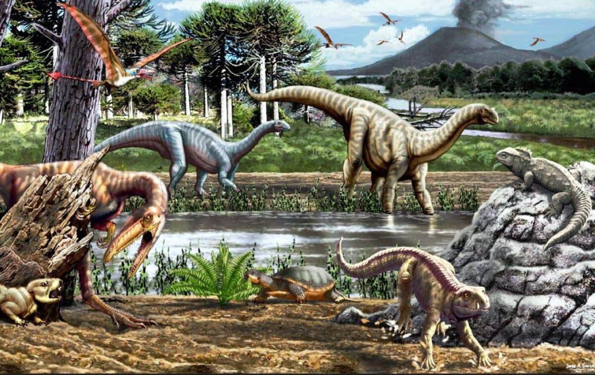 Dinosaurios y culturas originarias, una propuesta innovadora del IxD en San Juan