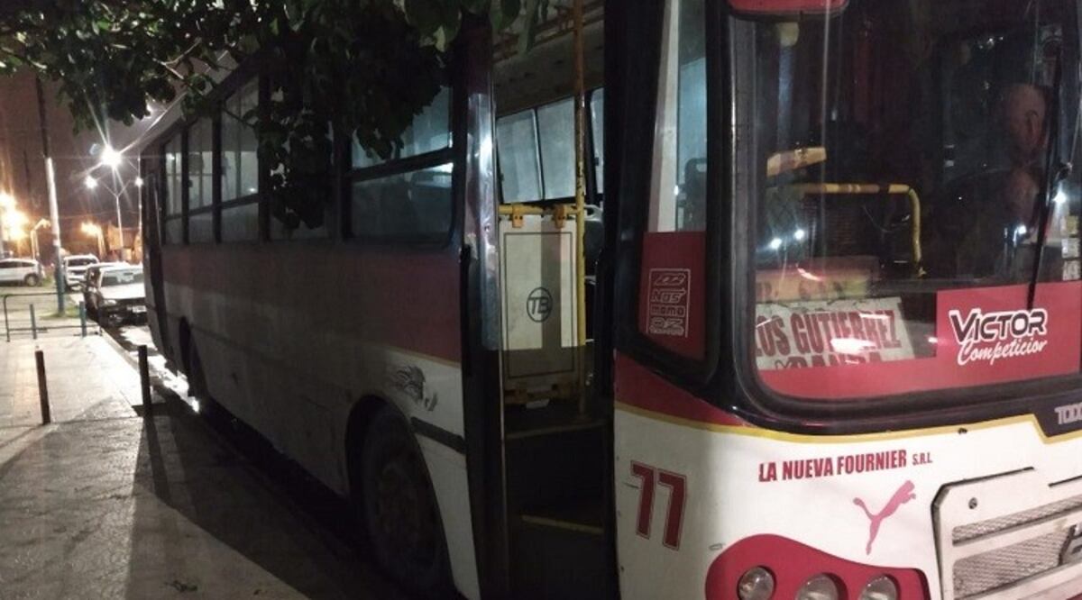 Cinco delincuentes golpearon a un jubilado para robarle su mochila