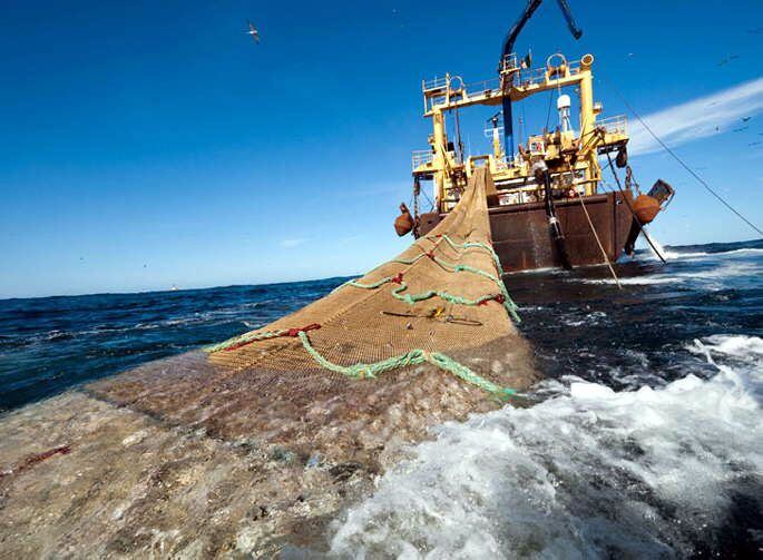 La Armada persigue a los buques que logra identificar, pero no es suficiente. 