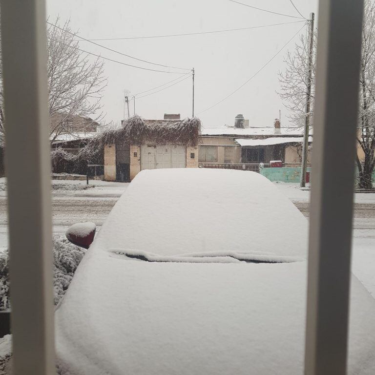 La nieve se hizo presente en Malargüe.