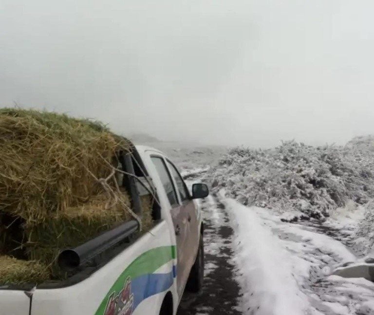 Las temperaturas en Jáchal llegaron a los 6 grados bajo cero.