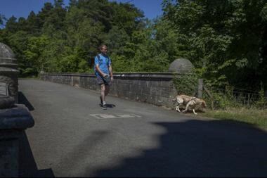 El Puente Overtoun en Dumbarton, Escocia, donde los perros son poseídos por una extraña energía