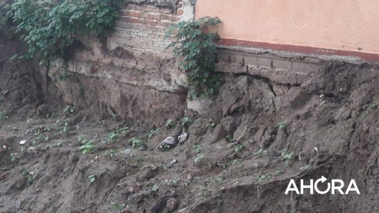 La Municipalidad realiza trabajos en la zona pero no es suficiente.