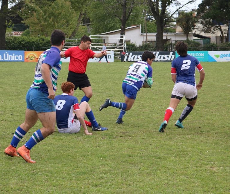 El rugby en plena competencia.