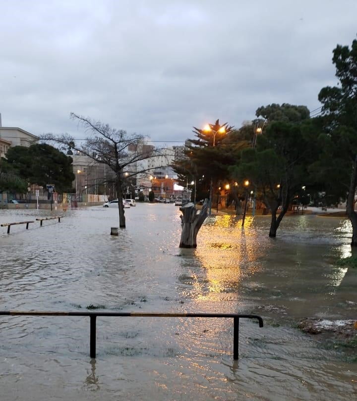 Plaza San Martín. Foto Jorge Barria