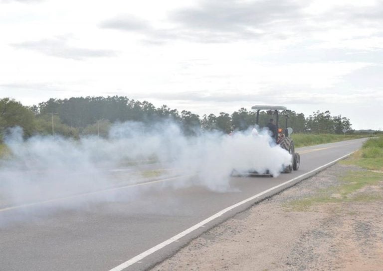 Fumigacion mosquitos en Arroyito