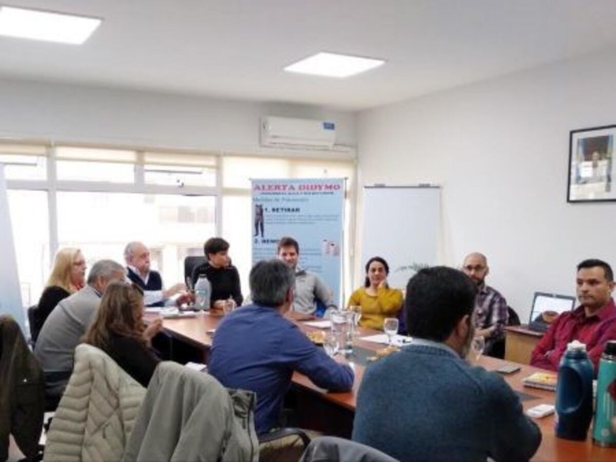 Se realizó el primer taller para abordar la problemática del alga Didymo