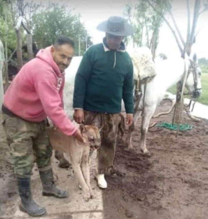 Gentileza: Ahora Noticias Paraná.