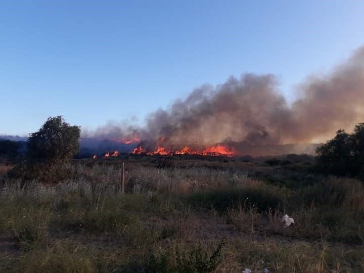 Incendio en Pehuen Co