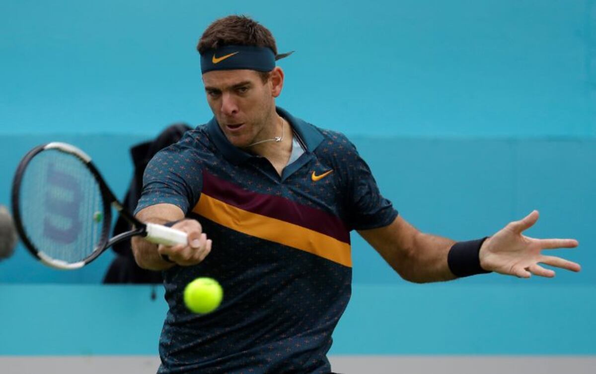 Juan Martín del Potro: "Quiero volver a jugar para que Federer salude a mis viejos"