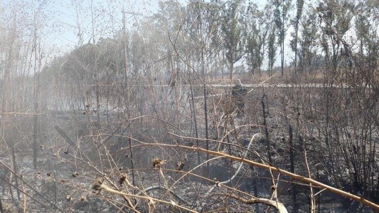 Incendios en Salta: se quemaron tres hectáreas en La Silleta. (Policía de Salta)