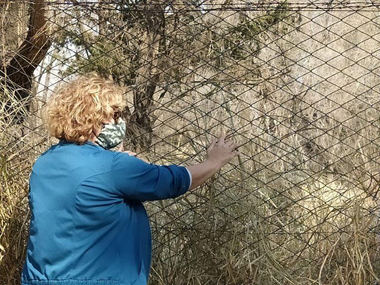 De un pedido de expropiación a un "estado de abandono" permanente. (Foto: prensa concejala Lenci).