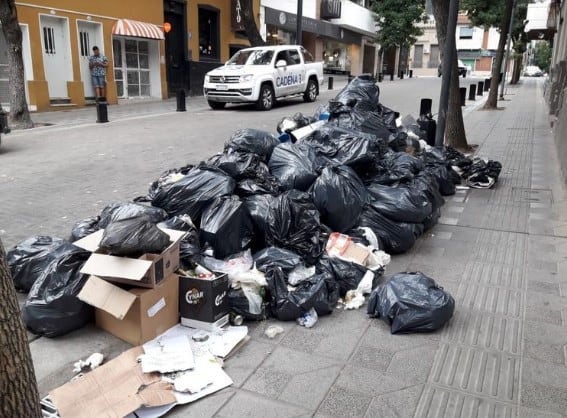 Al problema de la basura se suma otro problema crónico de Córdoba: los perros callejeros que se hacen un festín con las bolsas