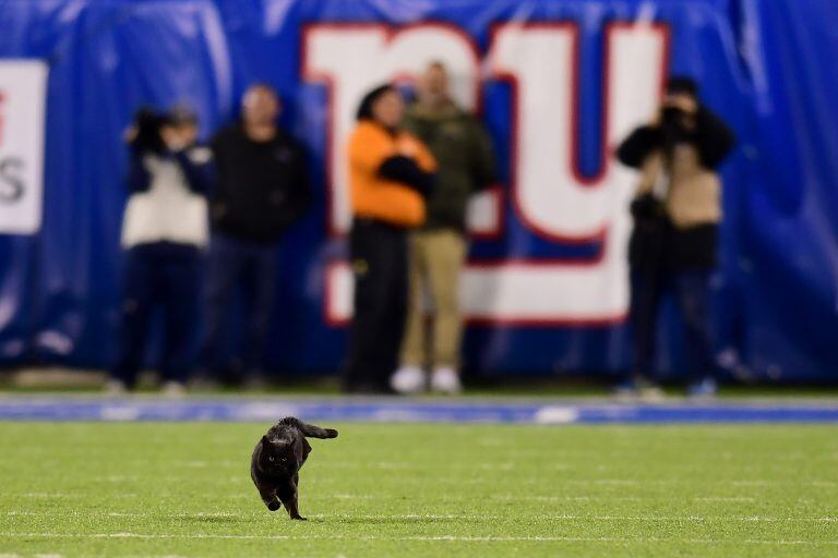 (Foto: Emilee Chinn/Getty Images/AFP)