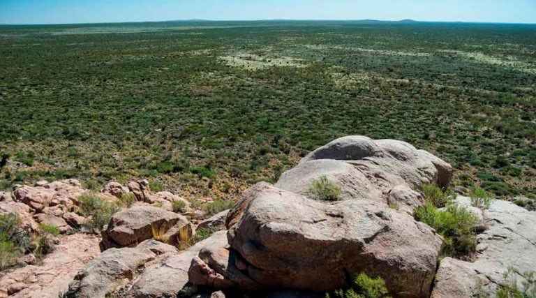 Los ambientes naturales sufren la presión constante de actividades humanas (APN)