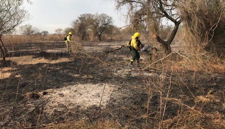 Brigadistas de la Armada Argentina, Parques Nacionales de Argentina, Bomberos Voluntarios de la provincia de Santa Fe y de la Policía Federal Argentina combaten e inspeccionan los incendios de la zona del delta de Entre Ríos. (Armada Argentina)