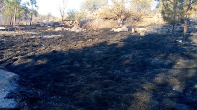 Detuvieron a un sospechoso de iniciar los incendios en una zona de San Luis