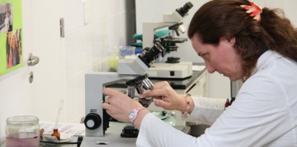 Ya se realizan en Córdoba las pruebas confirmatorias de coronavirus