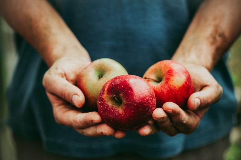 La manzana incrementó su precio en Córdoba.