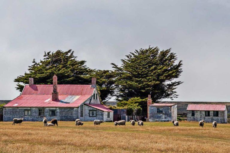 Una de las tantas granjas que se encuentran en las Malvinas.