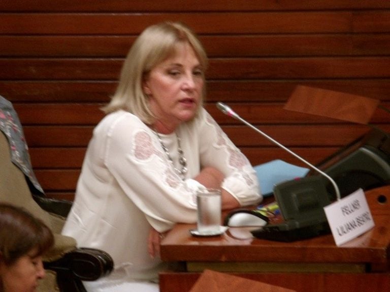 La diputada Fellner opinó que el debate sobre salud para extranjeros busca soslayar otros temas de la actualidad.