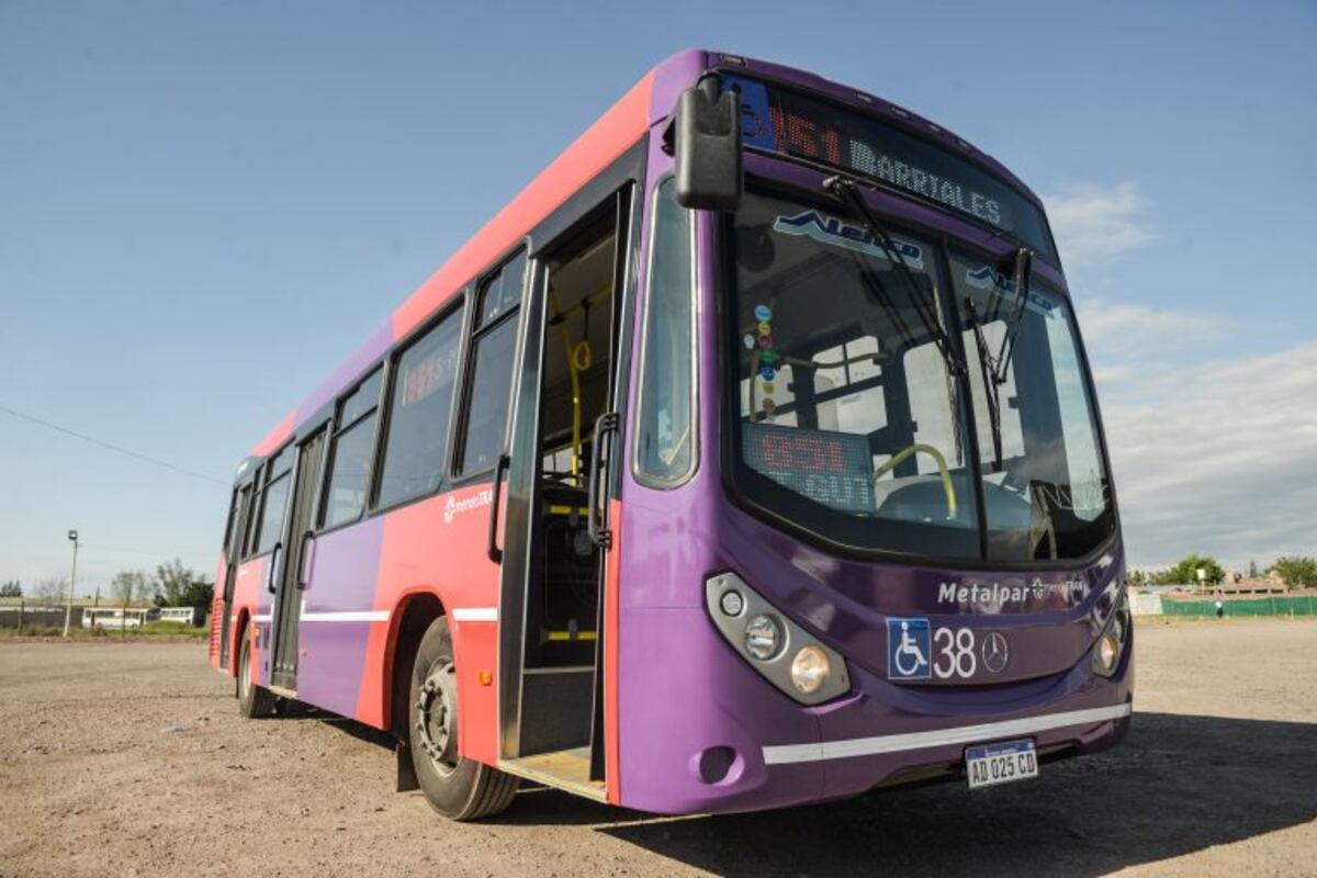 Mejoras en el servicio de transporte en zonas de Maipú