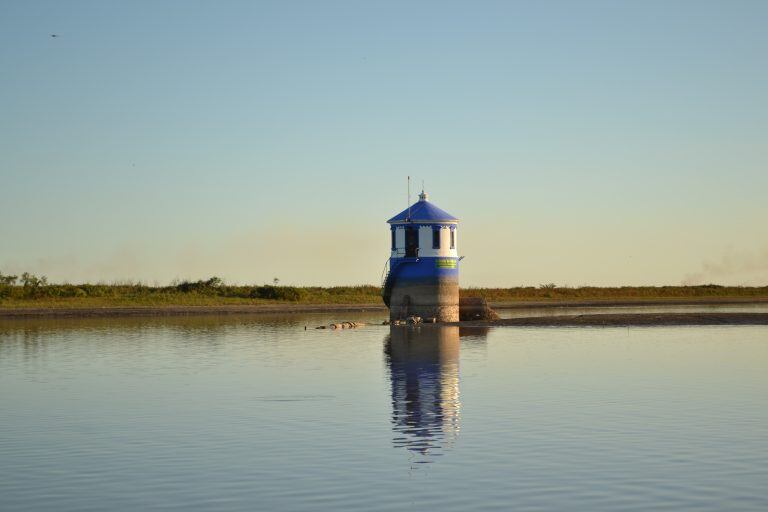 Cómo es el plan del empresario rosarino para lotear una parte de las islas