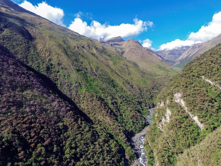 El Parque nacional Madidi, de Bolivia, es el de mayor diversidad en el mundo. Hasta hoy se ha encontrado 8.524 especies distintas. Foto: Omar Torrico/Wildlife Conservation Society.