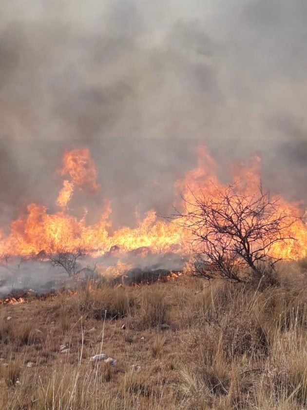 Detuvieron a un sospechoso de iniciar los incendios en una zona de San Luis