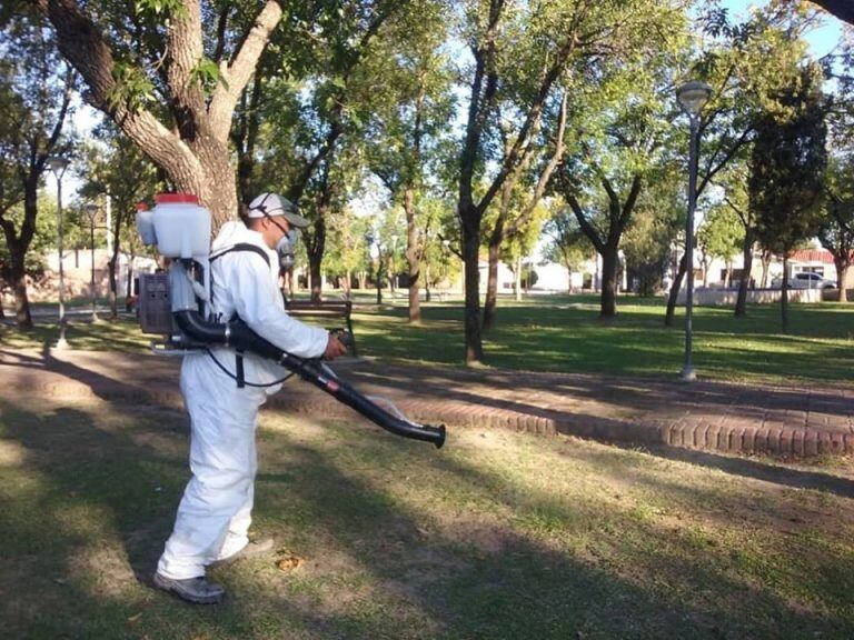 Fumigaciones en Arroyito por el dengue