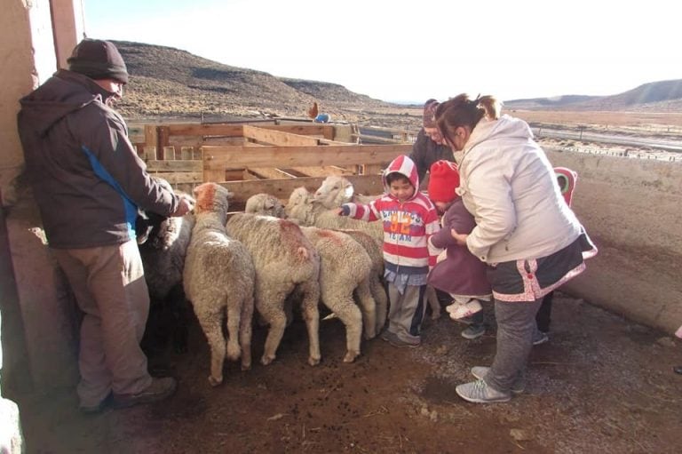 Los proyectos  mejoran la calidad de vida de la población,.