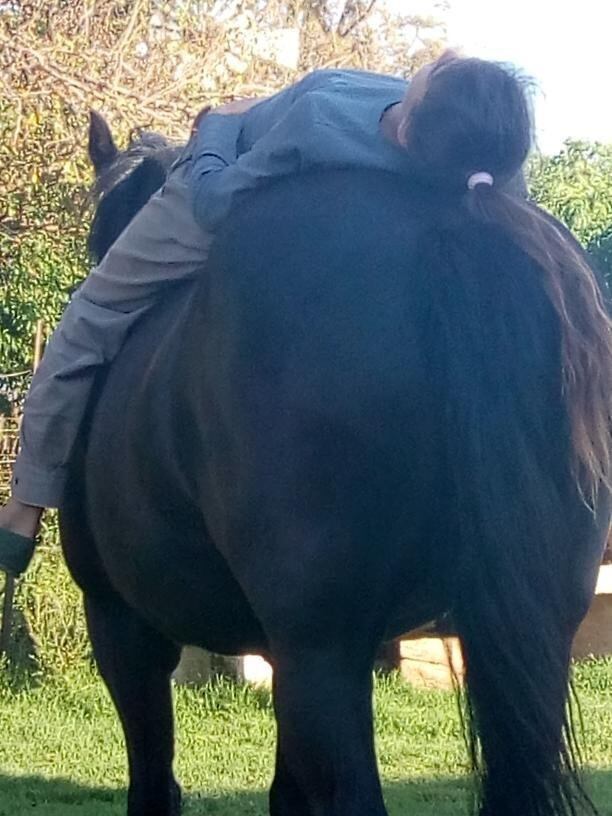 Victoria Rovetto, con 12 años, es amansadora de caballos en General Cabrera, Córdoba, y su técnica es furor en cada encuentro de animales de este tipo en el interior.