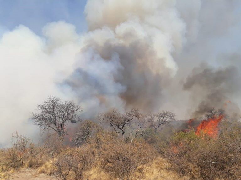 Incendio forestal.