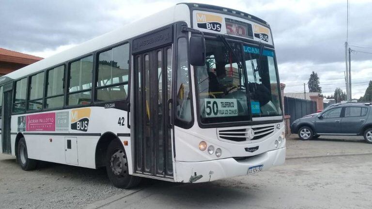 Colectivos de Bariloche de la empresa Mi Bus (web).