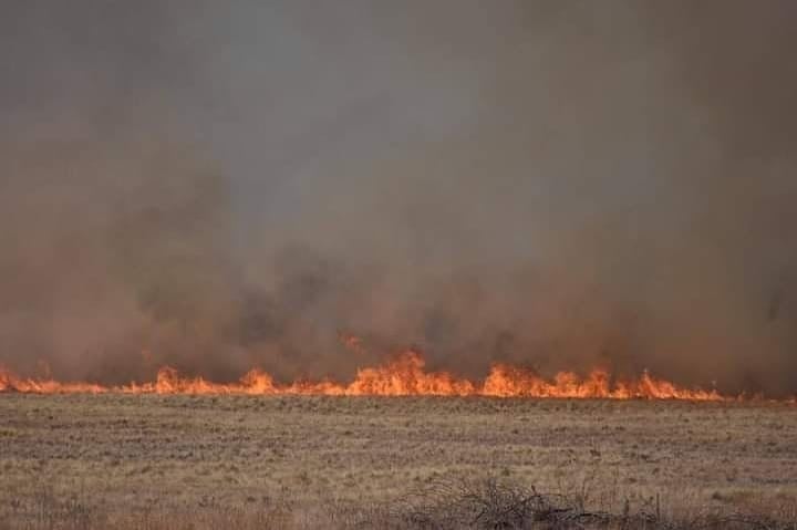 Bomberos de Arroyito viajaron a las Sierras