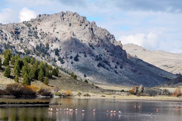 Laguna Los Juncos.