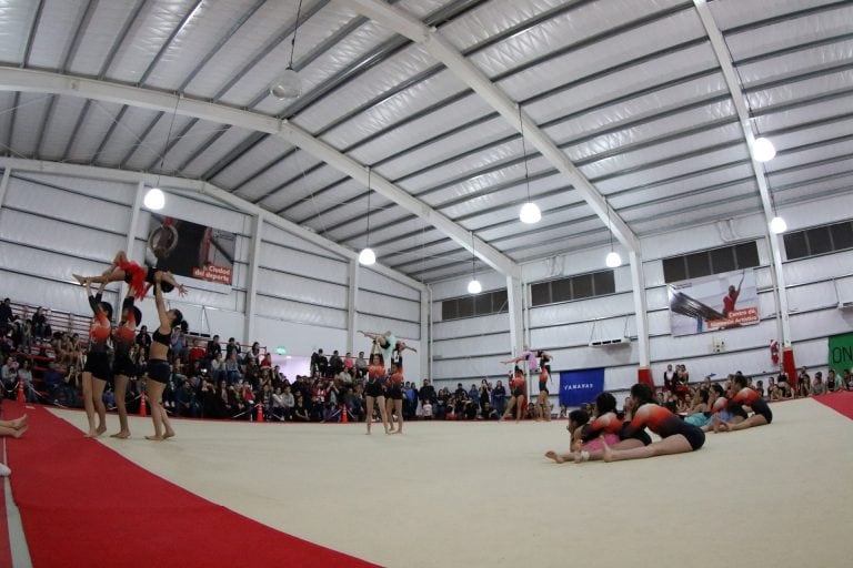 CENTRO MUNICIPAL DE GIMNASIA ARTÍSTICA