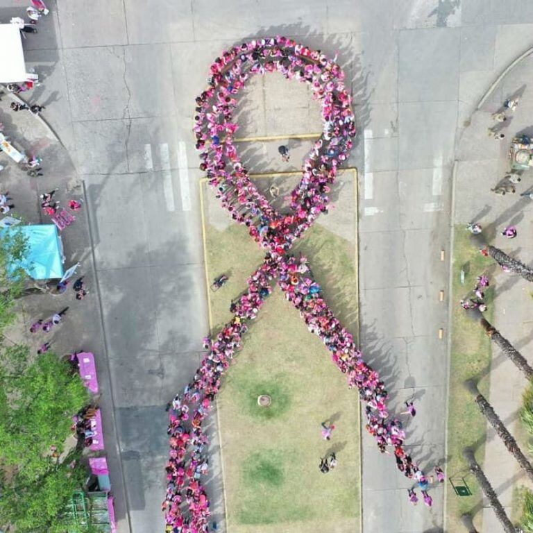 La caminata Caminamos con vos contra el cáncer de mama, un éxito en Córdoba.