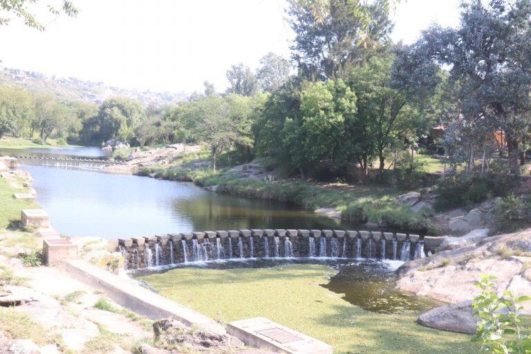 Las plantas autóctonas mejorarían el estado del agua. (Foto: Municipal).