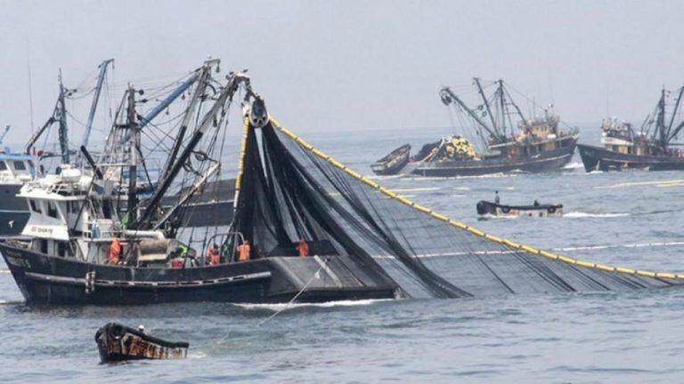 Las autoridades chinas son conocidas por no vigilar la flota de su país que opera en aguas distantes, a pesar de que la ley marítima internacional dice que deben hacerlo.