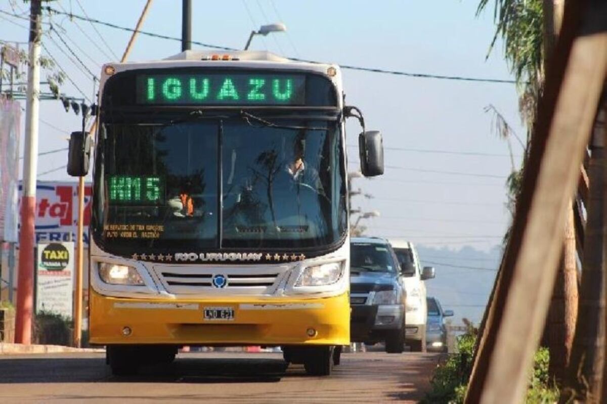 Habilitan una línea de transporte público para que los locales visiten las Cataratas