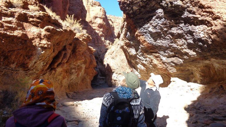 Desde hace 10 años, el equipo de investigación de arqueólogos y antropólogos de la UBA lleva adelante el Proyecto Pallqa en Cusi Cusi, Jujuy.