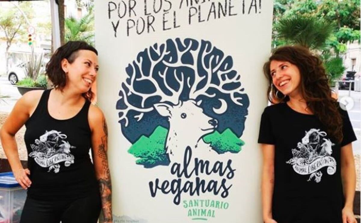 Un "santuario animal" de veganos separa a las gallinas de los gallos para que no sufran abusos