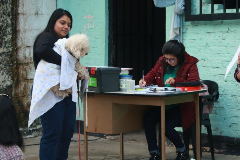 Las autoridades del municipio detallaron que servicio posibilitó realizar unas 200 castraciones y 300 vacunaciones antirrábicas al mes. (Prensa Municipalidad de Resistencia)