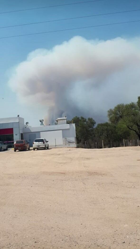 El fuego se acercaba a la estación de servicio de Villa de Soto, este viernes.